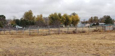Main picture of 2012 40th St