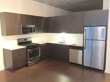 Main picture of 1345 S Wabash Condos