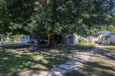 Main picture of 217 W Duke St