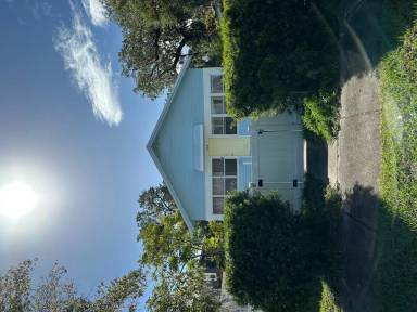 Main picture of 204 Andrews St