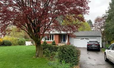 Main picture of 384 Matthews St