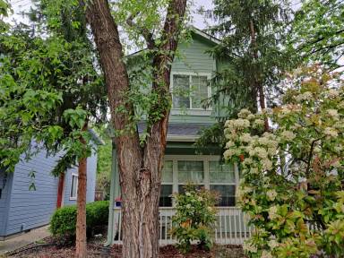 Main picture of 1203 S Michigan Ave