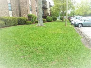 Main picture of CherryVale Apartments
