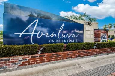 Main picture of Aventura On Briar Forest