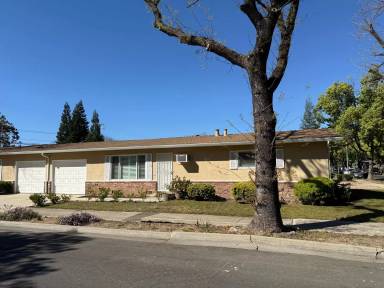 Main picture of 315 Floto St