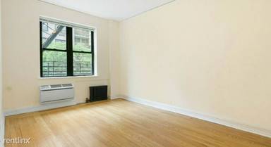 Main picture of 235 E 46th St