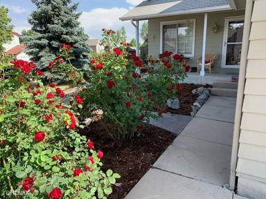 Main picture of 3786 Shefield Dr