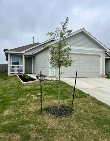 Main picture of 5913 Antonio Pl