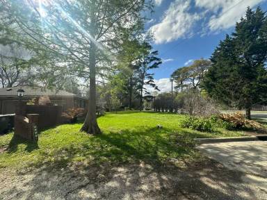 Main picture of 6166 Government St