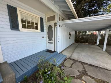 Main picture of 795 East College Street - Studio