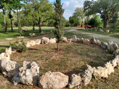 Main picture of 739 Proctor Ln