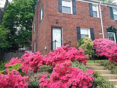 Main picture of 202 Burgess Ave