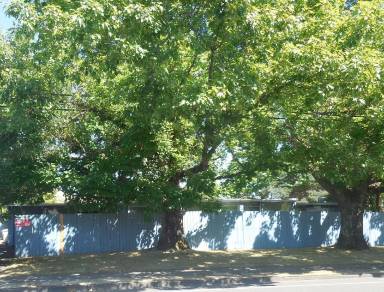 Main picture of 1417 1443 Highland Dr