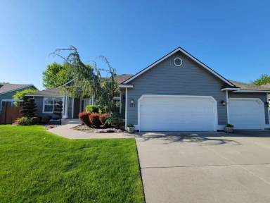 Main picture of 333 Molokai St