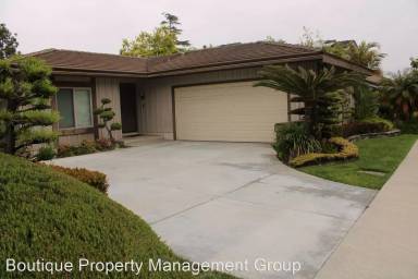 Main picture of 6 Sparrowhawk