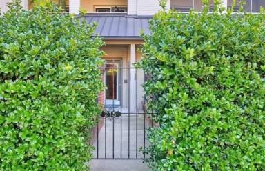 Main picture of 215 N 19th St