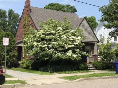 Main picture of 47 Mansion St