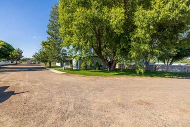 Main picture of 10 Road 4902