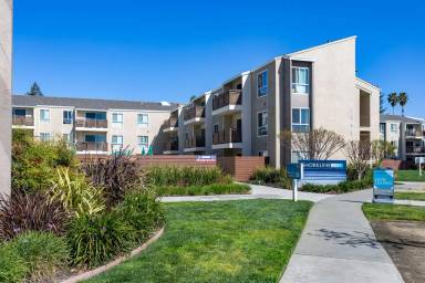 Main picture of Shoreline 1841 Apartment Homes