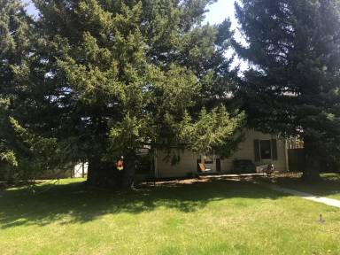 Main picture of 516 S McGillen Ave