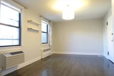 Main picture of 419 W 47th St