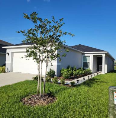 Main picture of 1288 Papaya Cir