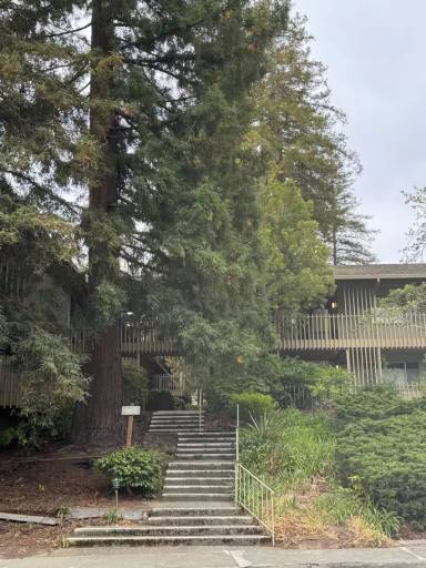Main picture of 665 Monte Rosa Dr