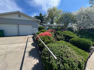 Main picture of 486 Redwood Way