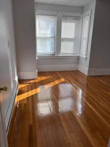 Main picture of 162 Lexington St
