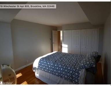 Main picture of 19 Winchester St Apartments