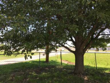 Main picture of 1506 W McArtor Rd