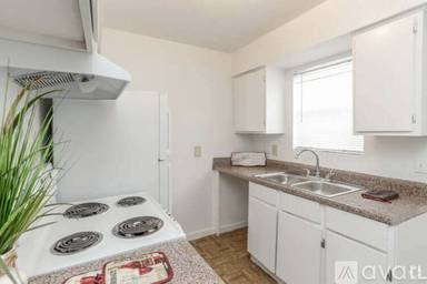 Main picture of Cabo San Lucas Apartments