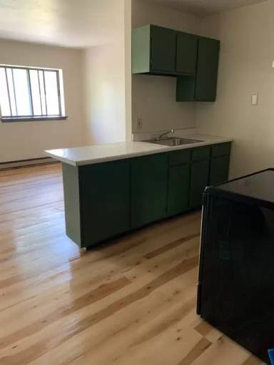 Main picture of 151 Plum St