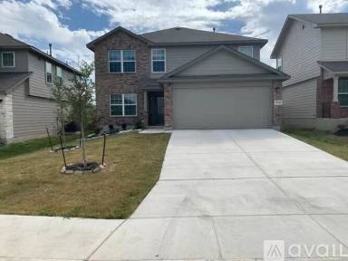 Main picture of 13328 Sugarberry Elm