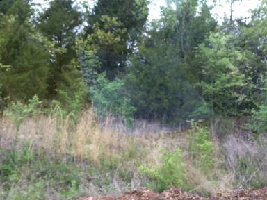 Main picture of 35984 Owl Dr