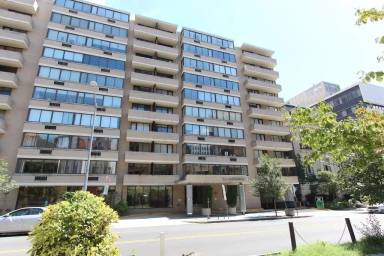 Main picture of Palladium