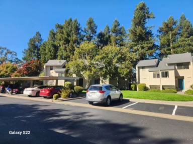 Main picture of 1960 Windmill Cir