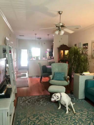 Main picture of 256 Center Park Ln