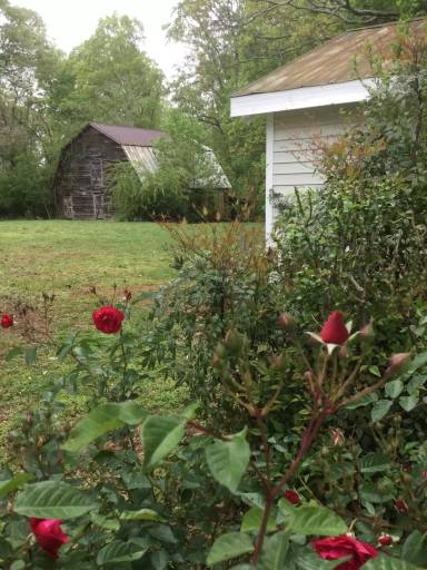 Main picture of 5228 Central Church Rd