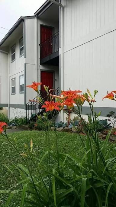 Main picture of 1171 16th Ave S