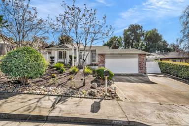 Main picture of 909 Halite Way