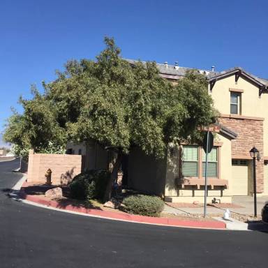 Main picture of 8105 Tazeer St