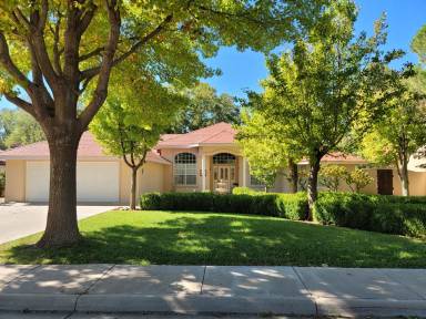 Main picture of 3106 N Circle Diamond Dr