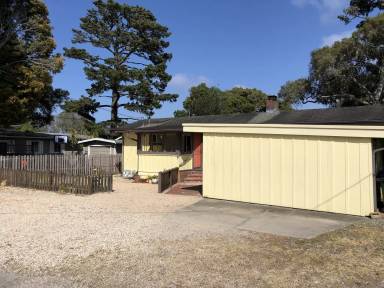 Main picture of 233 Alder St
