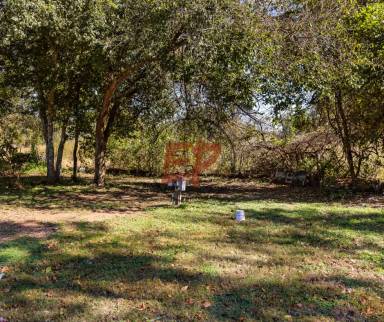 Main picture of 3166 Texas 14 - 1