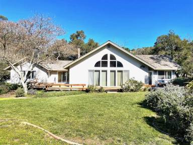 Main picture of 100 San Benancio Rd