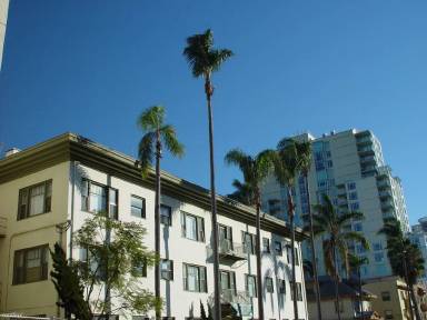 Main picture of 1616 9th Ave