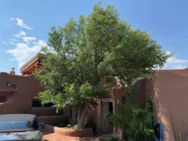 Main picture of 15 Cielo Cumbre Rd
