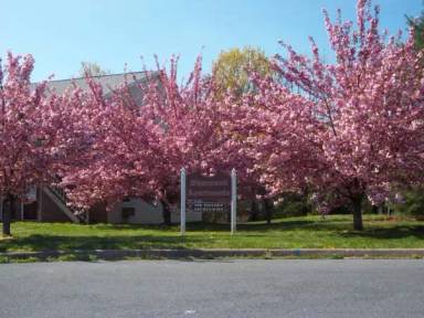 Main picture of 1130 Robinhood Ct