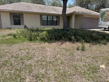 Main picture of 117 Spruce Rd